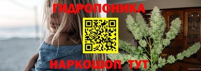 СК Краснокаменск
