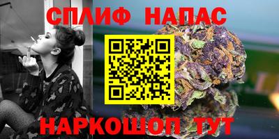стафф Краснознаменск