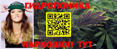 стафф Краснознаменск