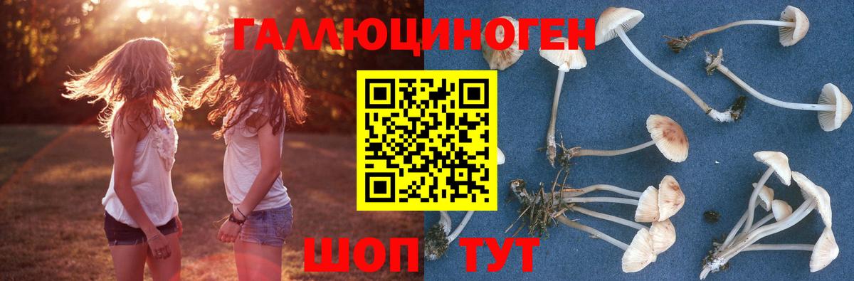 Карталы  Псилоцибиновые грибы мухоморы  Вход с VPN 