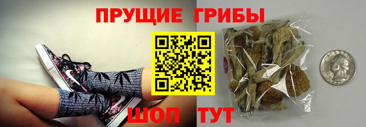 Галлюциногенные грибы MAGIC MUSHROOMS Карталы